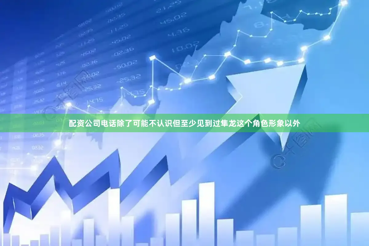 配资公司电话除了可能不认识但至少见到过隼龙这个角色形象以外