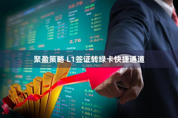 聚盈策略 L1签证转绿卡快捷通道