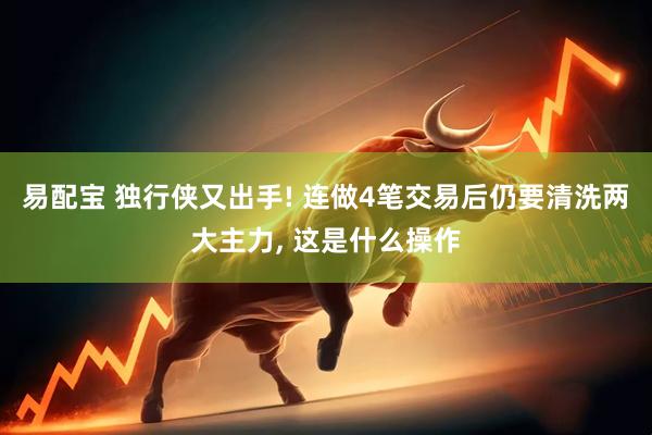 易配宝 独行侠又出手! 连做4笔交易后仍要清洗两大主力, 这是什么操作